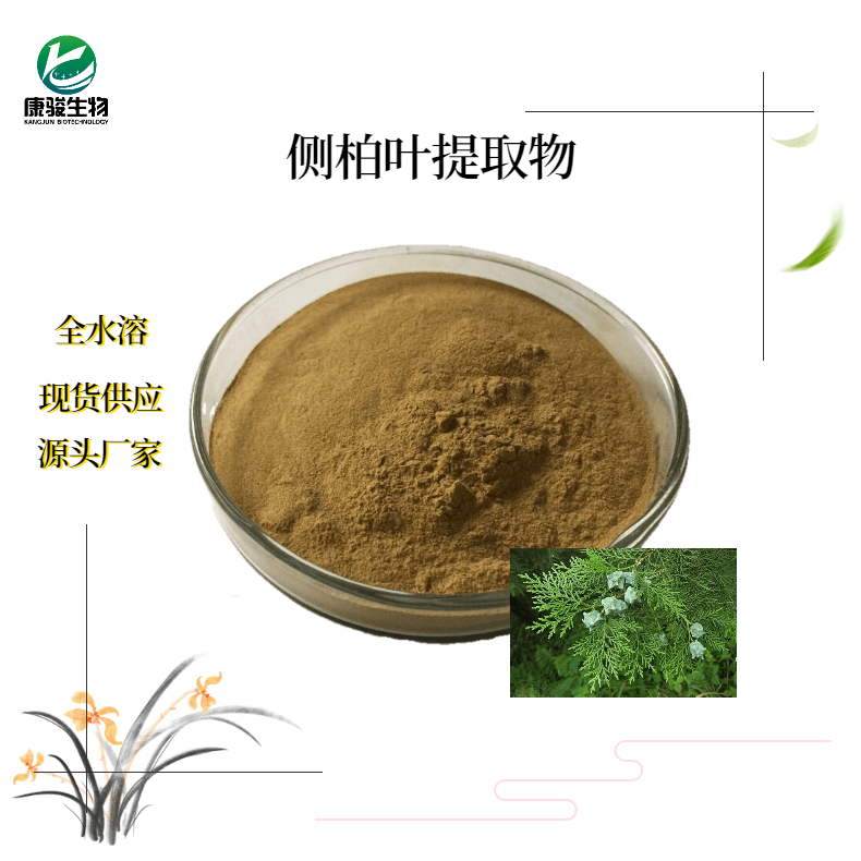 侧柏叶提取物