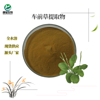车前草提取物