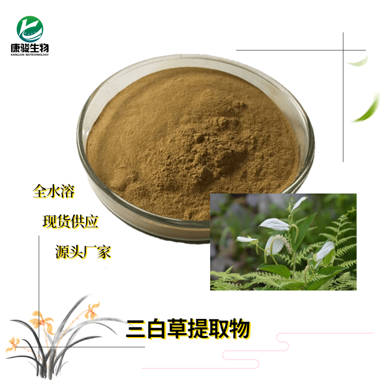 三白草提取物