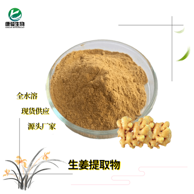 生姜提取物 姜辣素