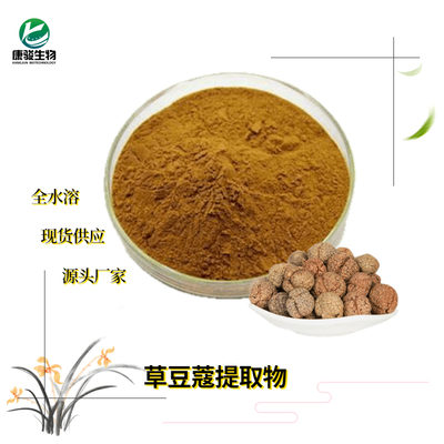 草豆蔻提取物