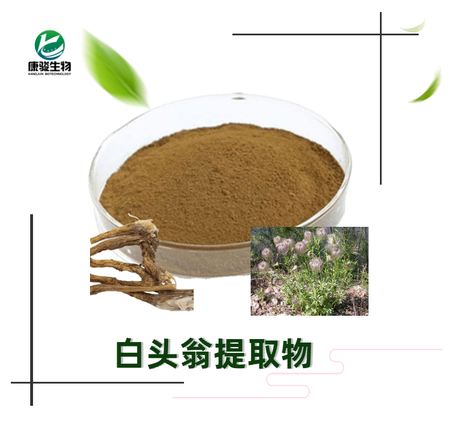 白头翁提取物