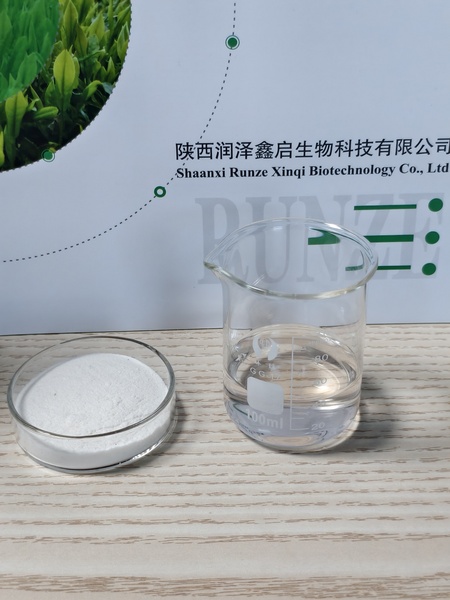 苹果汁粉，速溶苹果粉 果汁粉 SC源头厂家 果粉